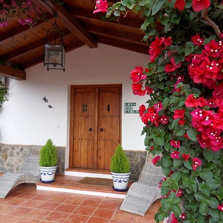 Bed & Breakfast | Guest House Casa Don Carlos Alhaurin el Grande Exterior photo