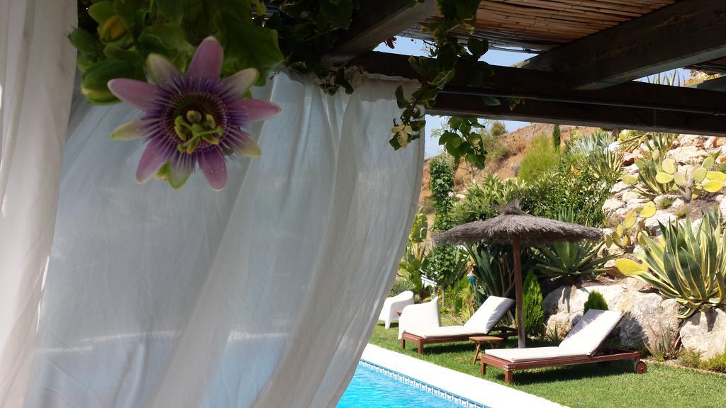 Bed & Breakfast | Guest House Casa Don Carlos Alhaurin el Grande Exterior photo