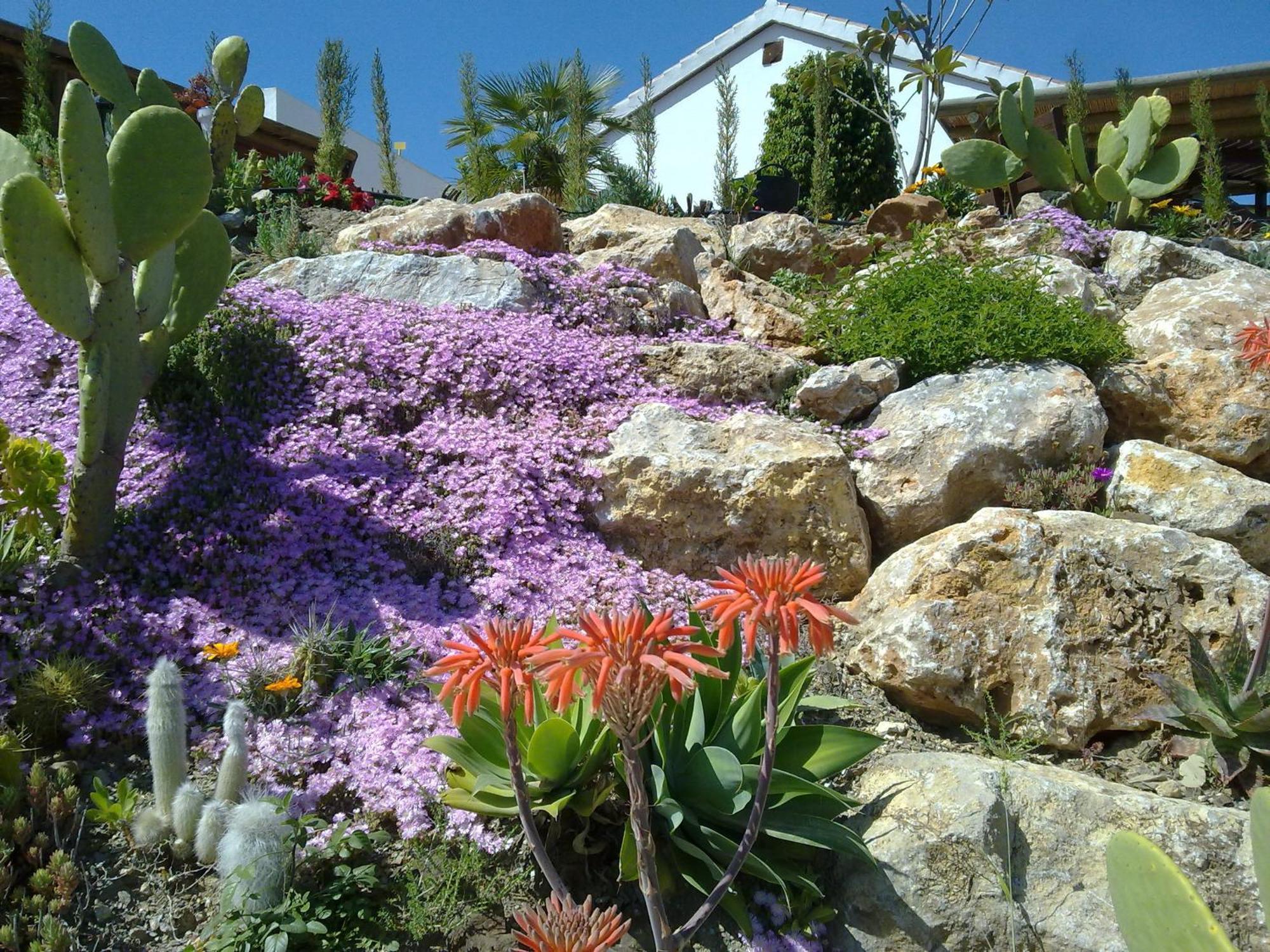 Bed & Breakfast | Guest House Casa Don Carlos Alhaurin el Grande Exterior photo