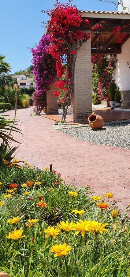 Bed & Breakfast | Guest House Casa Don Carlos Alhaurin el Grande Exterior photo